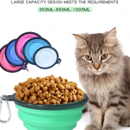 Collapsible Pet Bowl