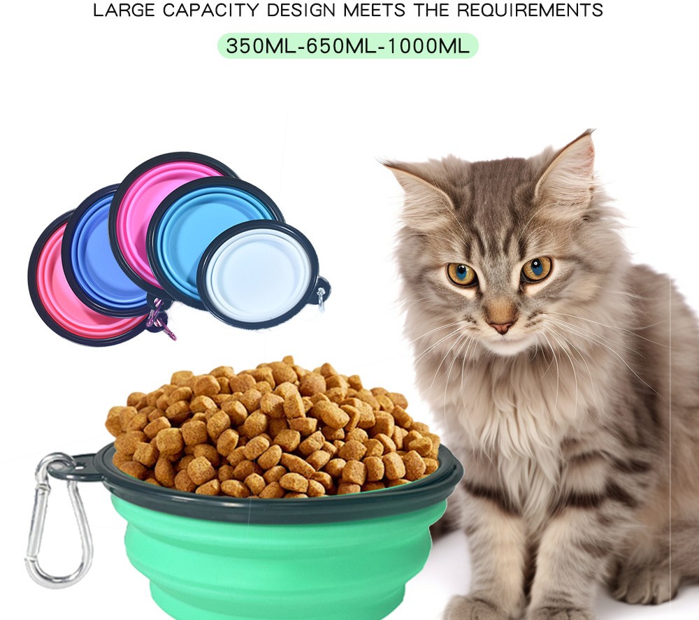Collapsible Pet Bowl